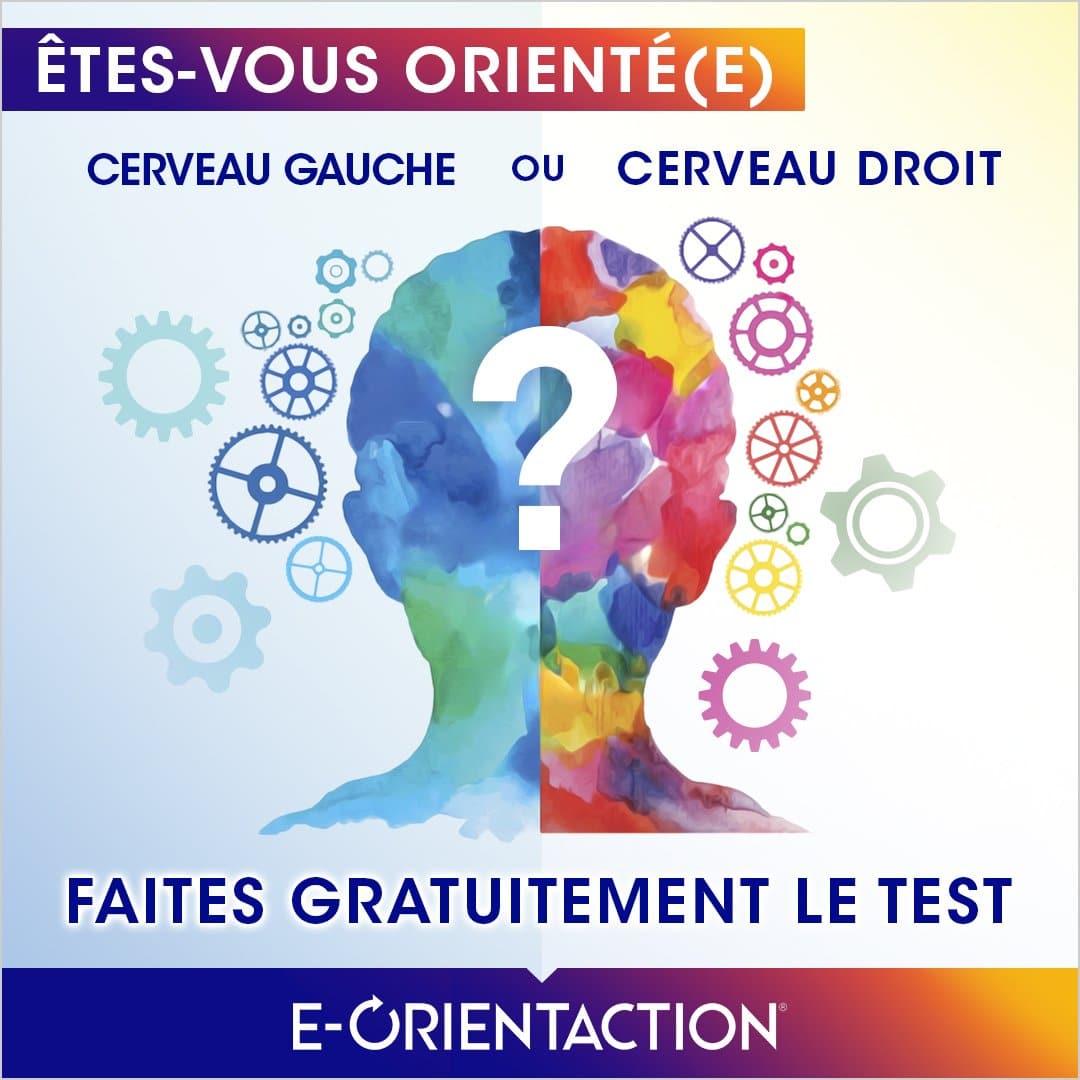 Test Tes Vous Orient Cerveau Droit Ou Cerveau Gauche