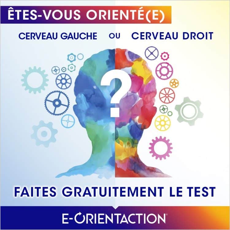 lettre formelle, courrier professionnel, exemple, rédaction, efficacité, structure, ton formel, présentation, salutation, corps de la lettre, conclusion, politesse, clarté, objectifs de communication, message clair, relations professionnelles, format, différences culturelles, conseils de rédaction, erreurs à éviter, personnalisation, relecture, correspondance écrite, impact, professionnalisme.